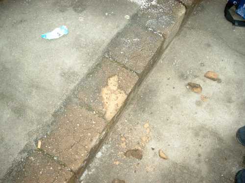 Energie Cottbus - VfL Bochum - photo